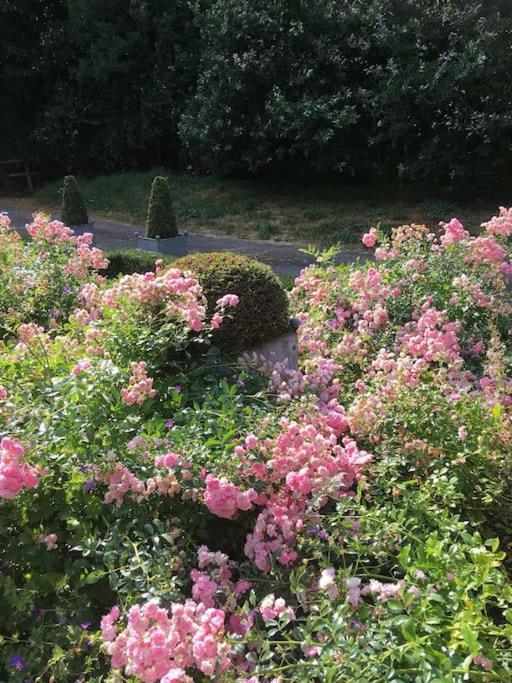 Highfield Lodge Tring Zewnętrze zdjęcie