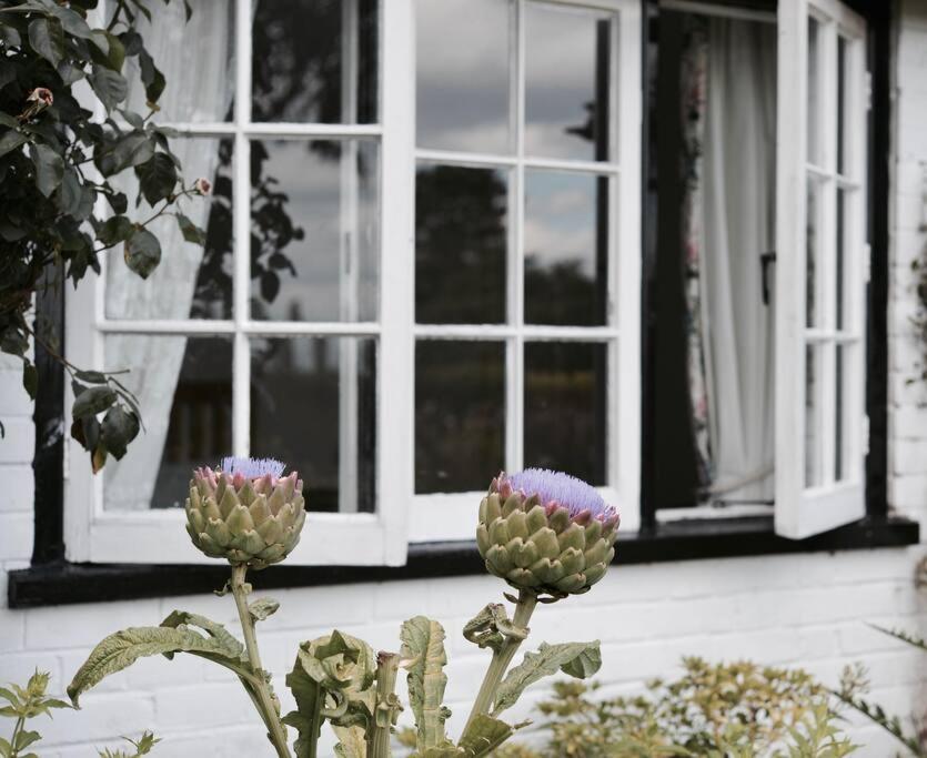 Highfield Lodge Tring Zewnętrze zdjęcie