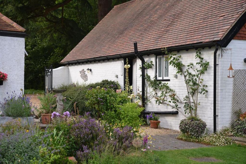 Highfield Lodge Tring Zewnętrze zdjęcie